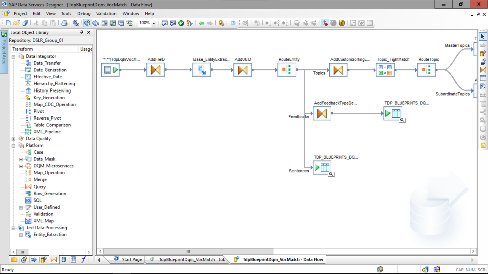 screenshot of SAP Data Services
